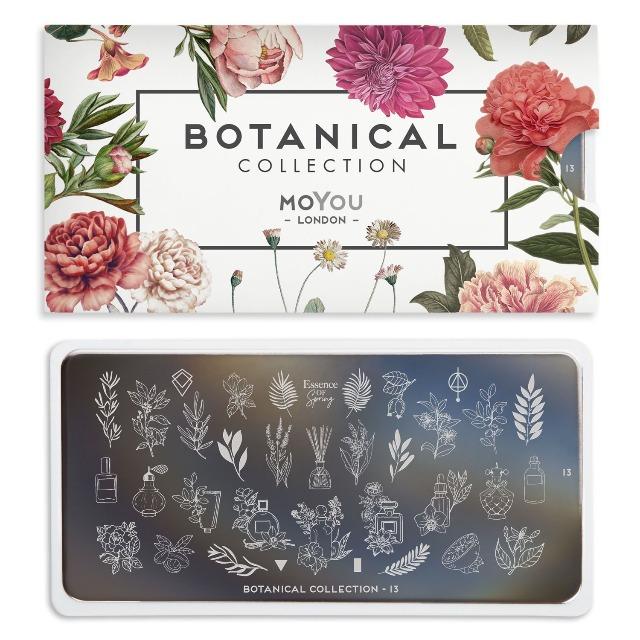 MoYou-London - Botanical 13 Stamping Plate