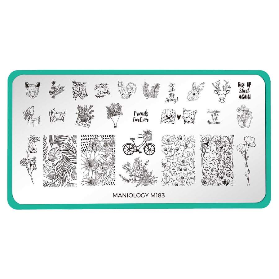 Maniology - Spring Occasions: M183 Wild About You Stamping Plate