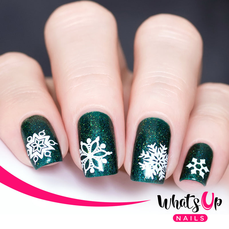 Whats Up Nails - A022 Back to Flurality Stamping Plate