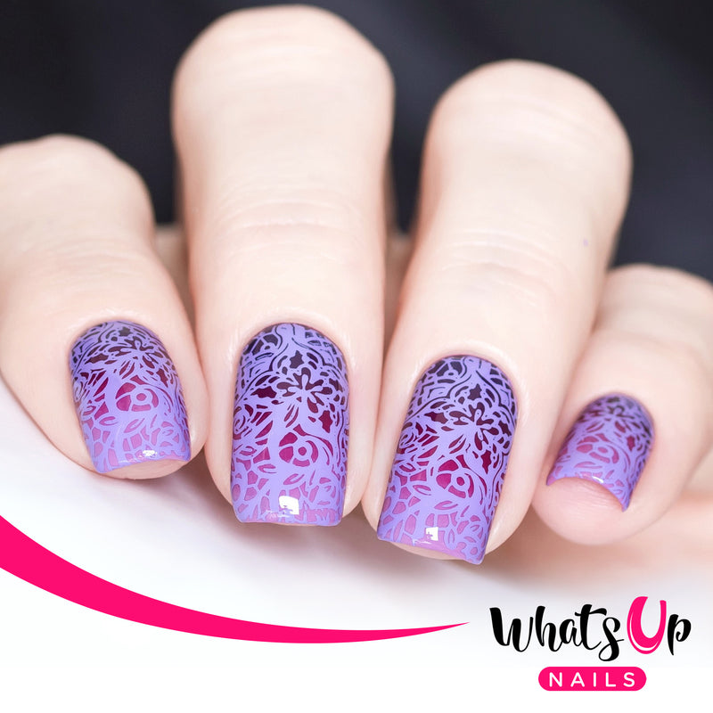 Whats Up Nails - B026 Fashion Prints Stamping Plate
