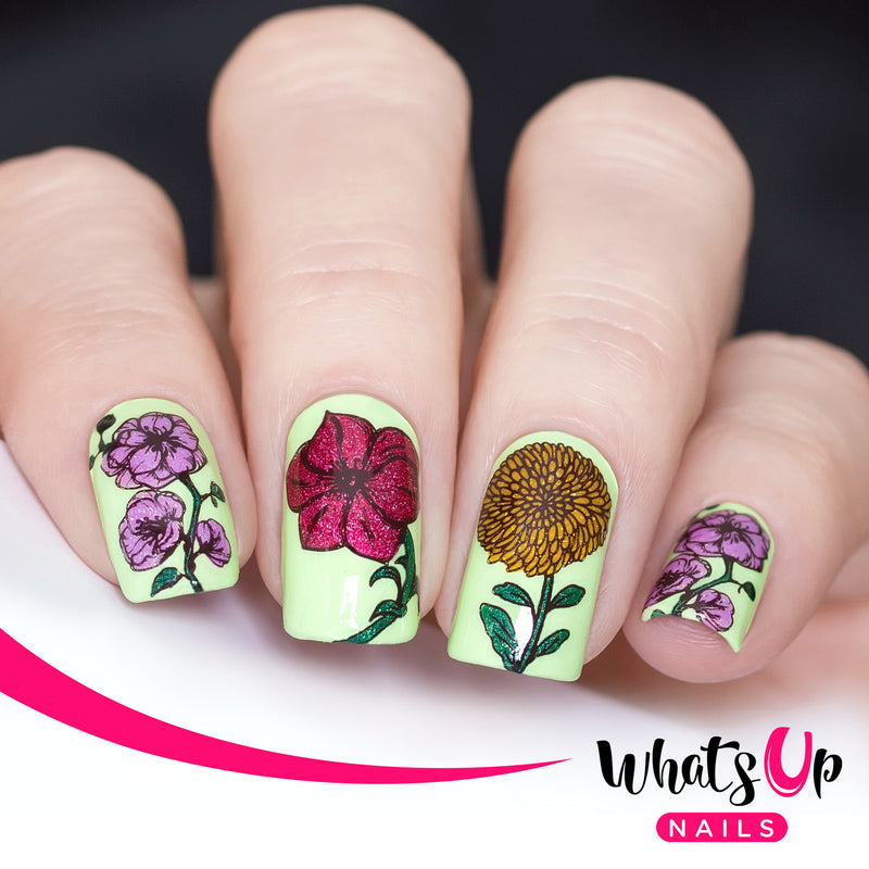 Whats Up Nails - B046 Petal to the Metal Stamping Plate
