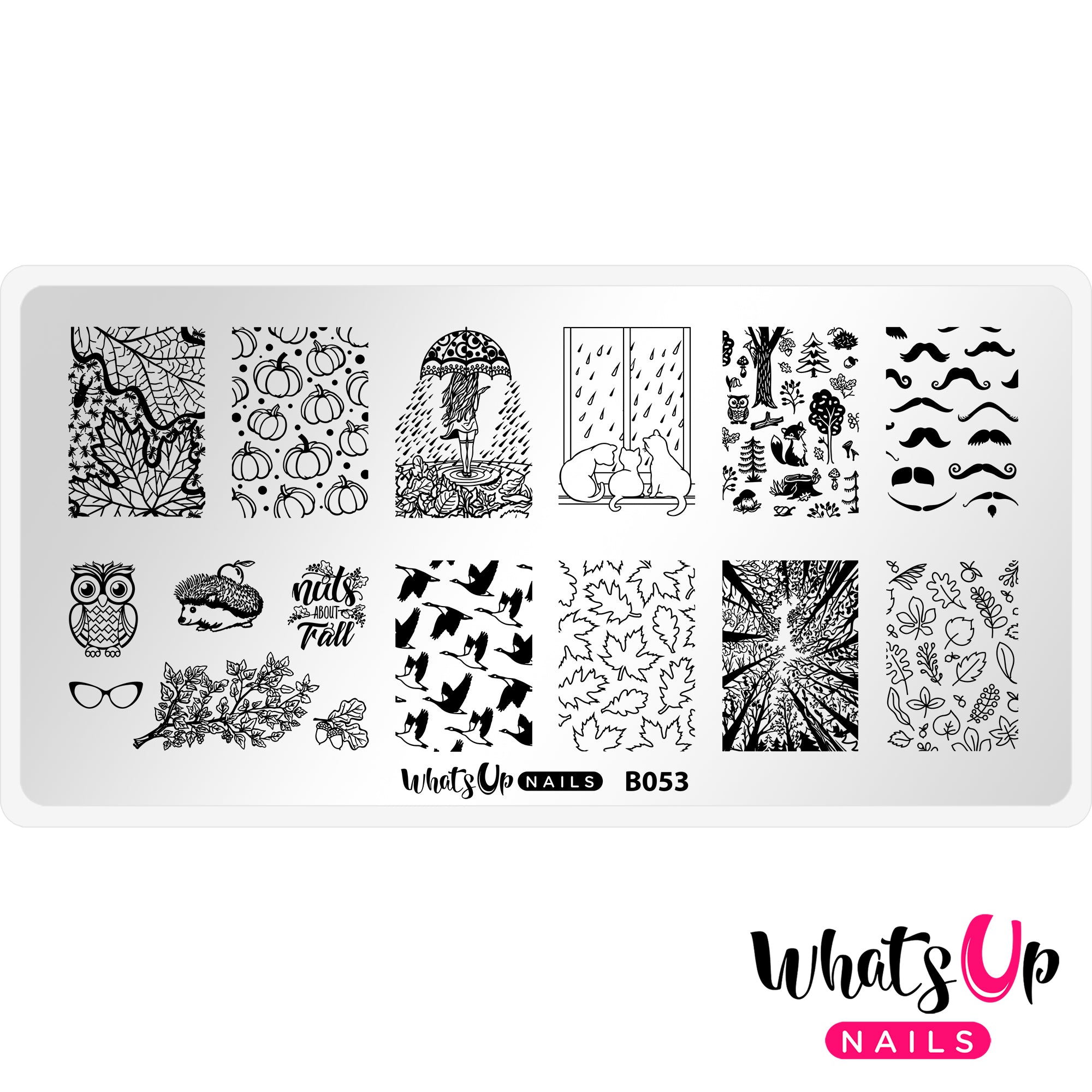 Whats Up Nails - B054 Haul 'r Win Stamping Plate