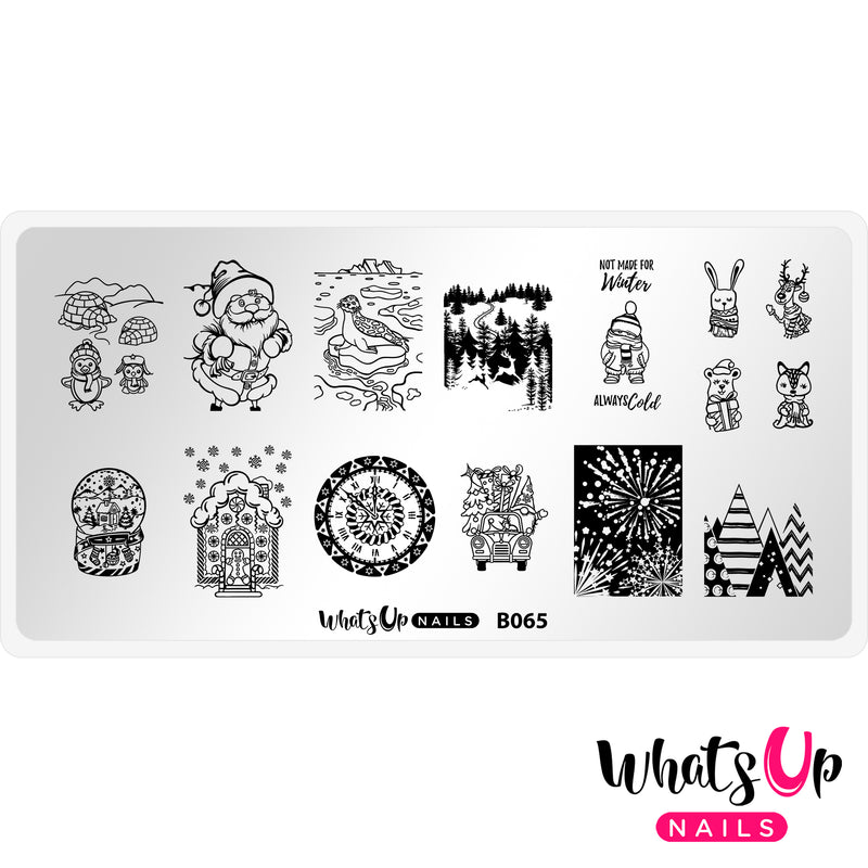 Whats Up Nails - B065 Winter Flurryland Stamping Plate