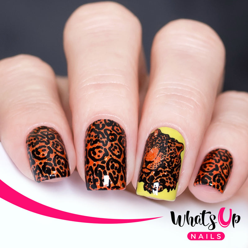 Whats Up Nails - B067 Zoology Trip Stamping Plate
