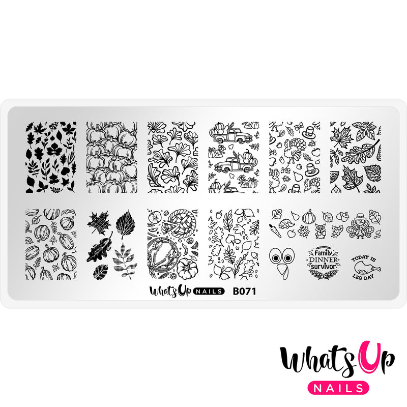 Whats Up Nails - B071 The Whole Nine Gourds Stamping Plate