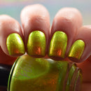 KBShimmer - Bumbling Around Nail Polish