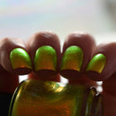 KBShimmer - Bumbling Around Nail Polish