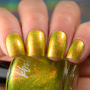 KBShimmer - Bumbling Around Nail Polish
