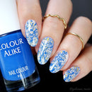 UberChic Beauty - UC Mini - Flourishing Paradise Stamping Plate