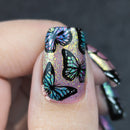 UberChic Beauty - Butterflies Stamping Plate