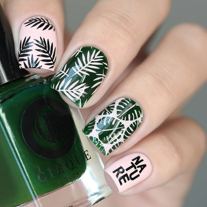 UberChic Beauty - Lovely Leaves 02 Stamping Plate