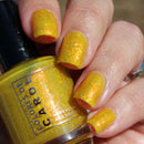 Colores de Carol - Shimmering Steals Nail Polish