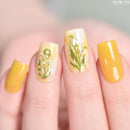 Kads - Flower 067 Stamping Plate