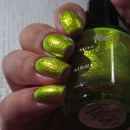 KBShimmer - Bumbling Around Nail Polish