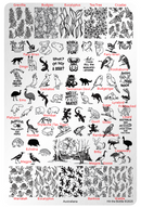 Hit The Bottle - Australiana Stamping Plate