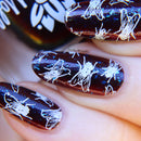 Emily De Molly - EDM46 Stamping Plate