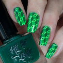 Hit The Bottle - Feast Your Eyes Stamping Plate