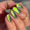 Phoenix - They Chose You Nail Polish (Magnetic)