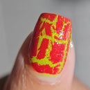 Colores de Carol - Navidazed Nail Polish (Crackle Topper)