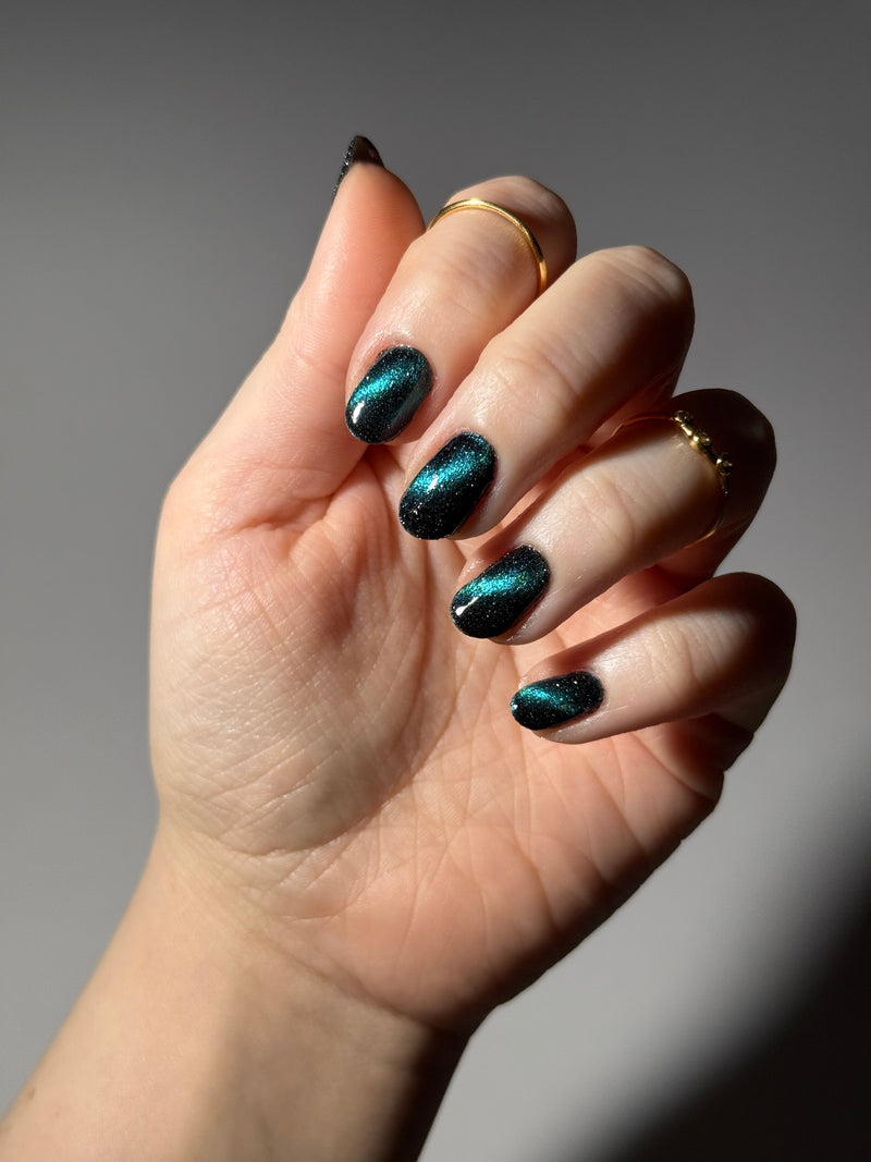Dam Nail Polish - Dog Nail Polish (Magnetic)