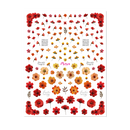 Moyra - Watertransfer Sticker Selection No. 16 Dried Flowers - Red