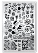 UberChic Beauty - Seashells & Sunshine Stamping Plate