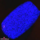 Colores de Carol - It’s Show Time! Nail Polish (Glow in the Dark)