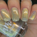 Dam Nail Polish - Take That Risk Nail Polish (Flash Reflective)