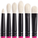 Whats Up Beauty - 6 Eyeshadow Brushes (R101, R102, R103, R104, R105, R106)
