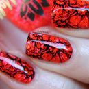 Emily De Molly - EDM39 Stamping Plate