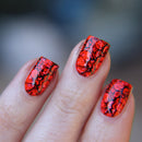 Emily De Molly - EDM39 Stamping Plate