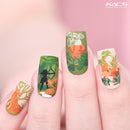 Kads - Zoo 020 Stamping Plate