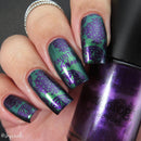 UberChic Beauty - UC Mini - Haunted Snow Stamping Plate