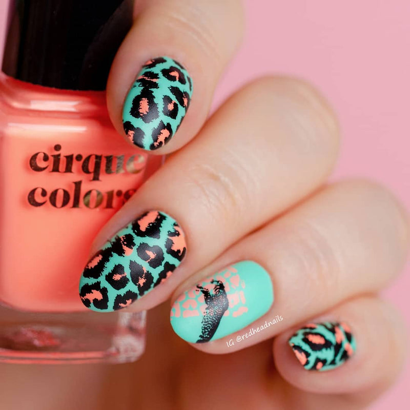 UberChic Beauty - Wild Luxury: Warm Blooded Stamping Plate
