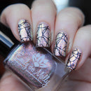 Emily De Molly - EDM45 Stamping Plate