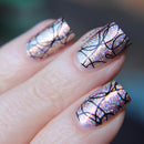 Emily De Molly - EDM45 Stamping Plate