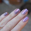 Emily De Molly - EDM45 Stamping Plate