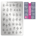 Moyra - 77 Blossometry Stamping Plate