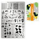 Moyra - 120 Designer 2 Stamping Plate