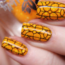 Emily De Molly - EDM40 Stamping Plate