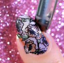 Whats Up Nails - B074 A Flower a Day Stamping Plate