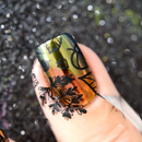 Whats Up Nails - A011 Leaves Are Fall-ing Stamping Plate