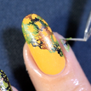 Whats Up Nails - B067 Zoology Trip Stamping Plate