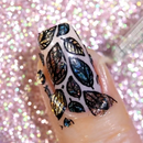 Whats Up Nails - B021 Autumn Tales Stamping Plate