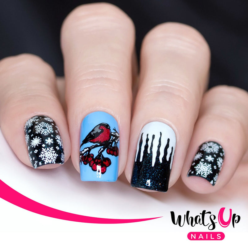 Whats Up Nails - B035 Icy Wonderland Stamping Plate
