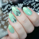 UberChic Beauty - Flourishes & Ornaments Stamping Plate