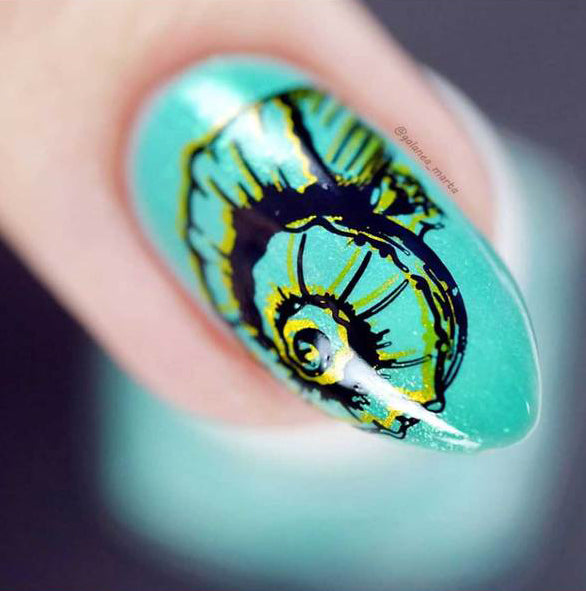 UberChic Beauty - UC Mini - Seashells Aplenty Stamping Plate