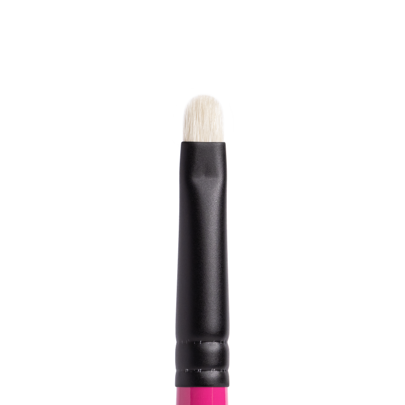 https://whatsupbeauty.com/cdn/shop/products/whatsupbeauty-r111-small-flat-shader-eyeshadow-brush-zoom_800x.png?v=1681629225