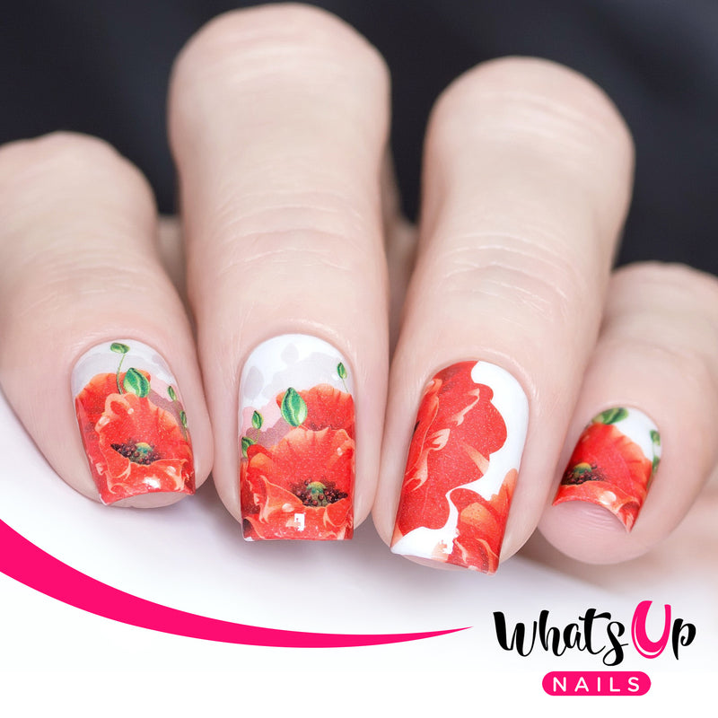 Whats Up Nails - P078 Sweet Poppy Water Decals