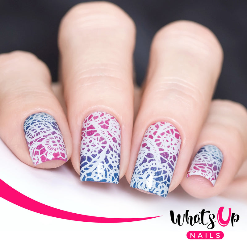 Whats Up Nails - B004 Seductive Lace Stamping Plate